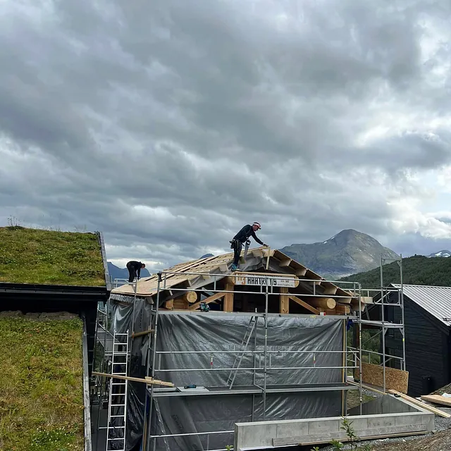 Snekker står på taket av hytte